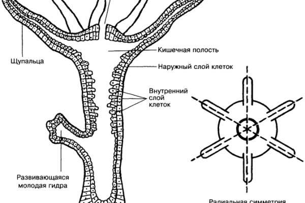 Кракен сайт бошки