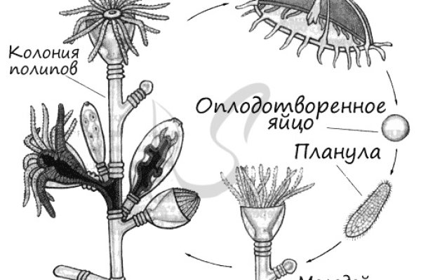 Кракен маркетплейс что это